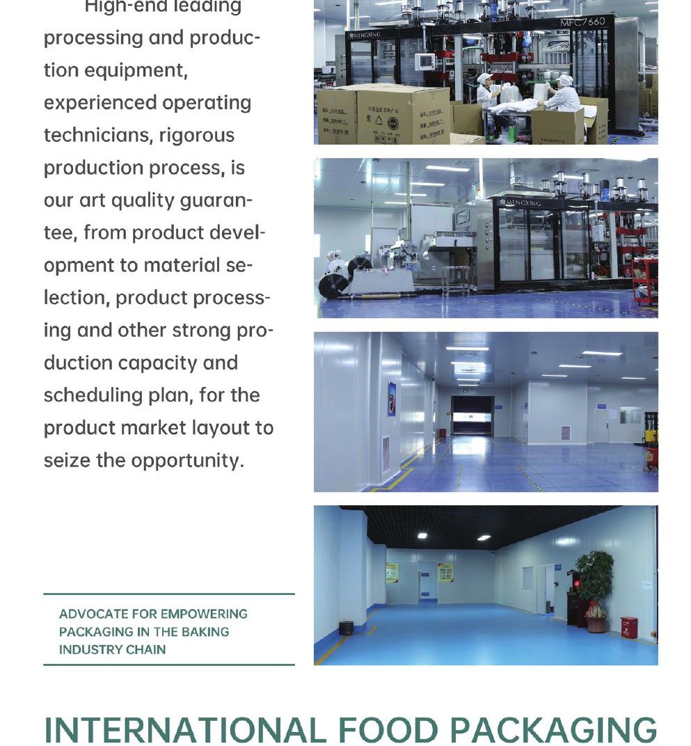 ST Zhongyi Pack factory