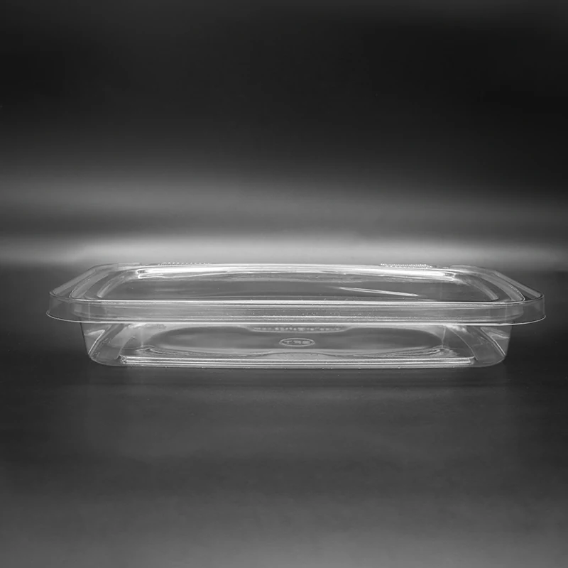 M22X13 Food Packaging Container product view 6