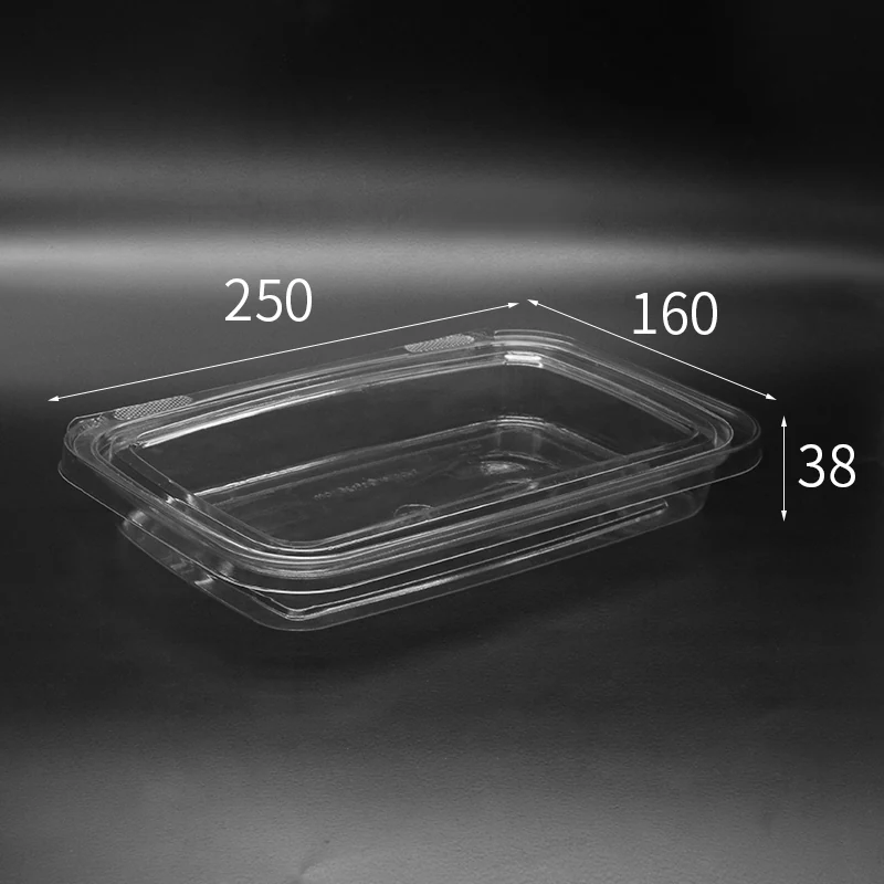 M22X13 Food Packaging Container product view 9