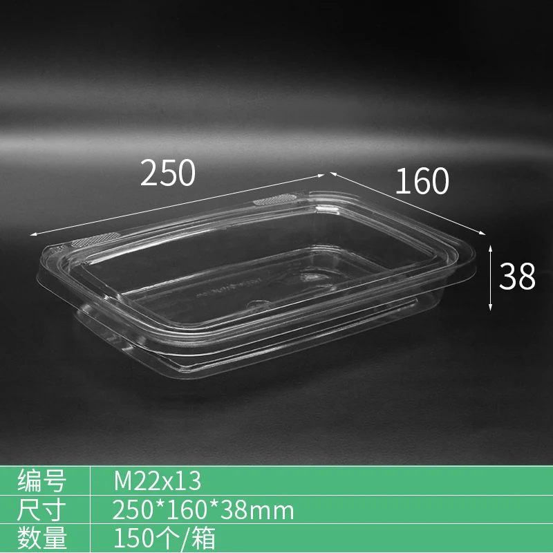 M22X13 Food Packaging Container product view 10