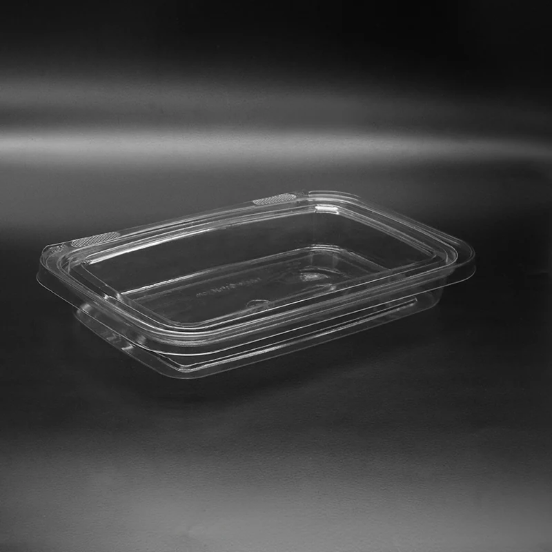 M22X13 Food Packaging Container product view 11
