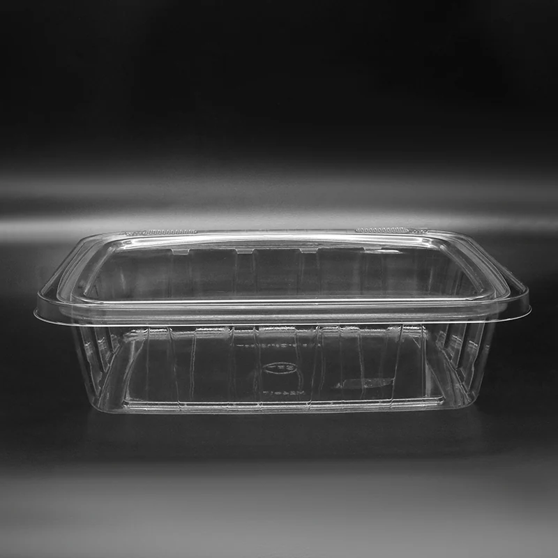 M24X17 Food Packaging Container product view 5
