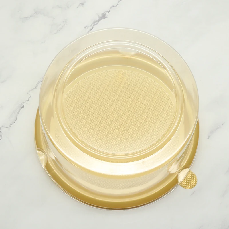 ZY-1017R Food Packaging Container product view 4