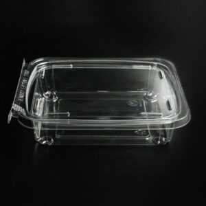 Customized Wholesale Food Grade PET Disposable Flip Top Clamshell Boxes Packaging Containers Bulk Nuts Bread for Snacks