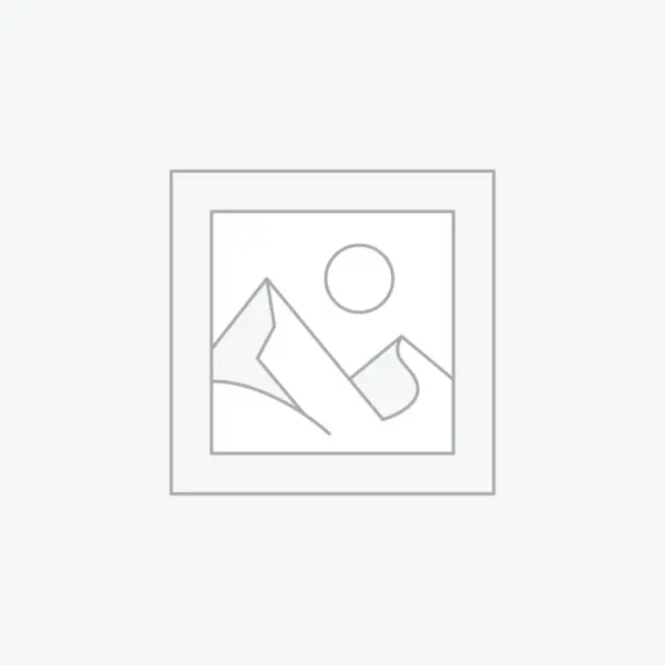 Travel Laptop Backpack